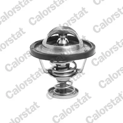 CALORSTAT by Vernet TH6295.71J - Thermostat, Kühlmittel Sonderangebot