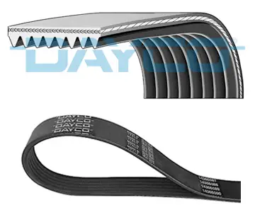 Preiswert DAYCO 8PK1895HD - Keilrippenriemen