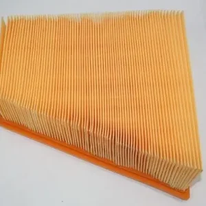 AUTOMEGA 180026610 - Luftfilter Markenprodukt
