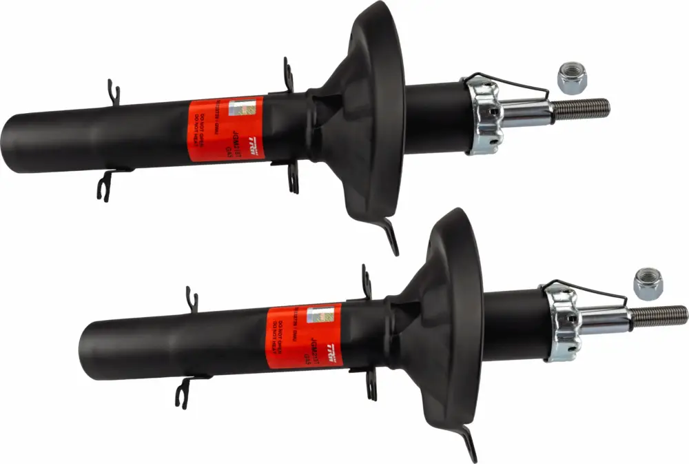 Sichere Zahlung TRW JGM215T - Stoßdämpfer - TRW TWIN